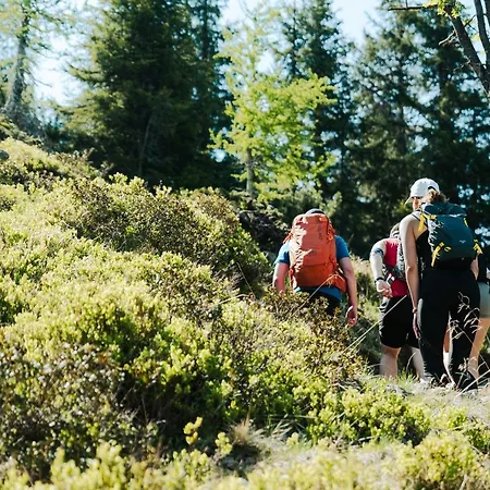 Mountain Hostel