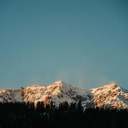 Hostel Mountain *